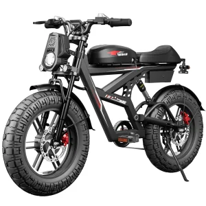 Ebike Dual Motor 25AH Dual Battery
